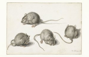 Vier Studien einer kranken Maus von Jacob II de Gheyn