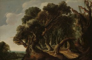 Waldlandschaft
