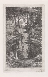 Waldweg