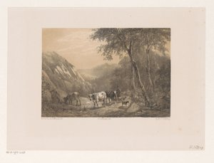 Hirte mit Herde in den Bergen