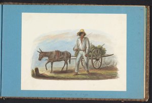 Mann mit Karren voller Bananen von Jacob Marius Adriaan Martini van Geffen