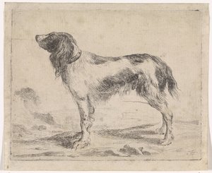 Stehender Hund
