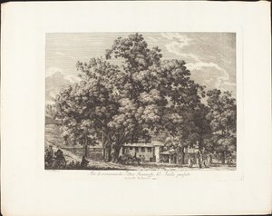 Erholungsort der flämischen Maler des vergangenen Jahrhunderts am Monte Testaccio von Jacob Wilhelm Mechau