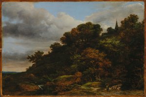 Ein bewaldeter Hügel von Jacob van Ruisdael
