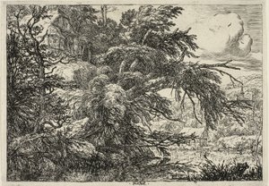 Hütte auf dem Hügel