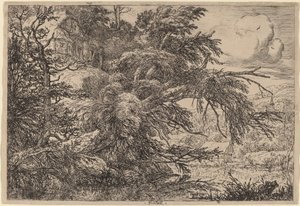 Hütte auf einem Hügel von Jacob van Ruisdael