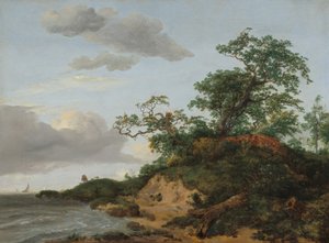 Dünen am Meer, 1648 von Jacob van Ruisdael
