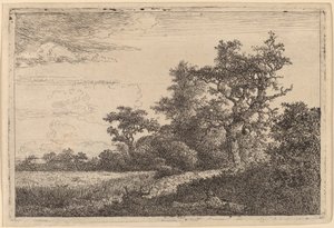 Getreidefeld am Waldrand von Jacob van Ruisdael