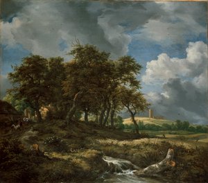 Landschaft bei Muiderberg, frühe 1650er Jahre von Jacob van Ruisdael