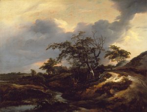 Landschaft mit Dünen von Jacob van Ruisdael