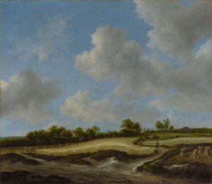 Landschaft mit einem Weizenfeld von Jacob van Ruisdael