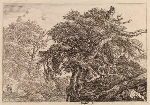 Alter Baum von Jacob van Ruisdael