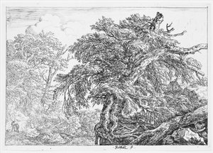 Die große Buche von Jacob van Ruisdael