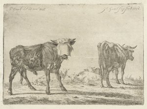 Geknebelter Stier bei einer Rinderherde von Jacobus Cornelis Gaal