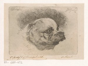 Kopf eines Mopses von Jacobus Cornelis Gaal