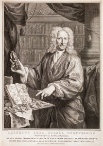 Porträt von Albertus Seba, nach Jan Maurits Quinkhard von Jacobus Houbraken