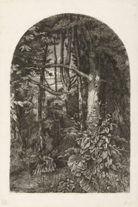 Wald mit Bach von Jacobus Ludovicus Cornet