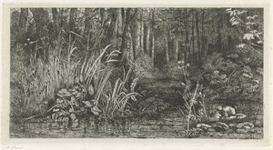 Waldfluss von Jacobus Ludovicus Cornet