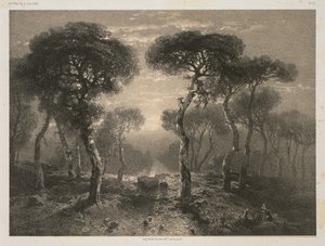 Werke von A. Calame, Nr. 13: Wald von Sierre im Wallis