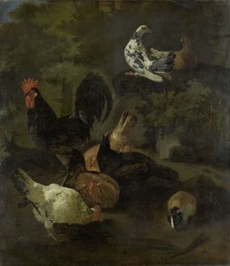 Ein Hahn, Hennen, Tauben und ein Murmeltier