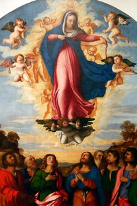 Die Himmelfahrt der Jungfrau Maria, von Palma il Vecchio Serina 1513 von Jacopo (c.1480 1528) Palma
