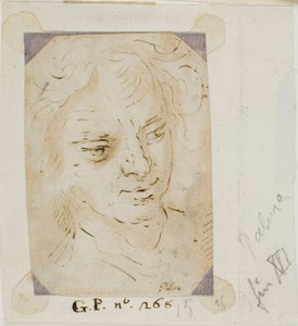 Kopf eines Mannes von Jacopo Palma il Giovane