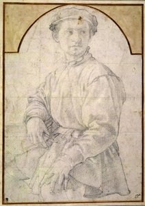 Ein sitzender Jugendlicher mit Mütze von Jacopo Pontormo
