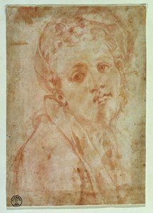 Selbstporträt von Jacopo Pontormo