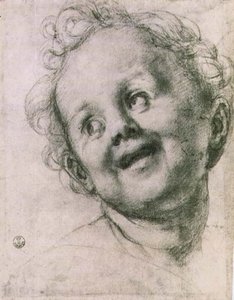 Studie eines Putto für die 