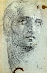 Männlicher Kopf von Jacopo Robusti Tintoretto