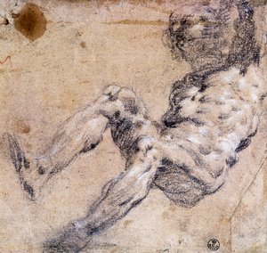 Studie eines männlichen Aktes von Jacopo Robusti Tintoretto