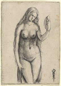 Nackte Frau mit Spiegel Allegorie der Vanitas
