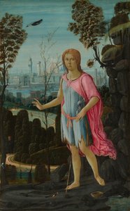 Der heilige Johannes der Täufer von Jacopo del Sellaio