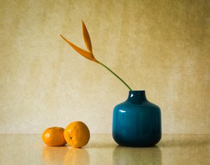 Tropische Blüte und Orangen