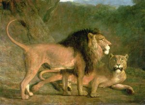 Ein Löwe und eine Löwin in einem felsigen Tal von Jacques Laurent Agasse