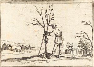 Gärtner beim Baumschnitt