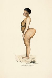 Frau der Boschman-Rasse im Profil