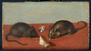 Mäuse, ca. 1600 von Jacques II de Gheyn
