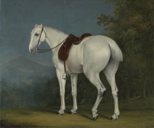 Der Graue Jäger einer Dame, ca. 1806