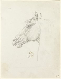 Pferdekopf von Jacques Louis David