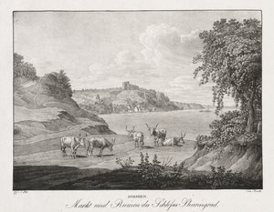 Syrmien, Markt und Ruinen des Schlosses Sharengrad