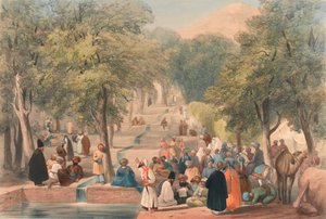 Die Allee am Grab von Babur