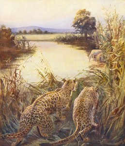 Heiliges Land: Leoparden in "Der Stolz Jordaniens" von James (after) Clark