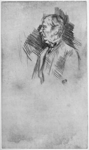 Lord Wolseley, 19. Jahrhundert 1904