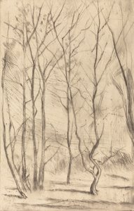 Der Dam-Wald von James Abbott McNeill Whistler