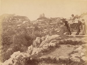 Capri [Kind auf Maultier]