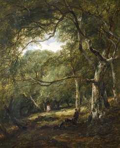 Figuren im Wald