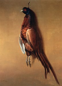 Hängender Fasan, 1822
