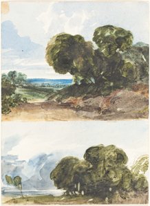Zwei Skizzen von Bäumen von James Bulwer