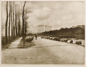 Eine Utrechter Pastorale